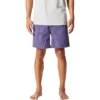 Mountain Hardwear Stryder Swim Short - Men's