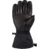Dakine Phoenix GORE-TEX Glove - Men's