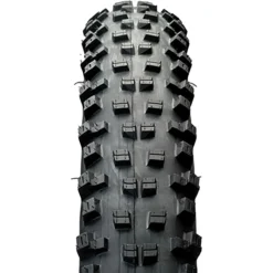 Kenda Regolith 29in Tire