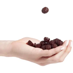 Chill Chews 2 Chill Chews -Outdoor Sports Equip Store BLA D3 19