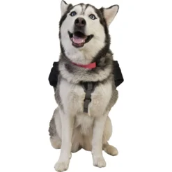 Ultimate Direction Dog Vest -Outdoor Sports Equip Store BLA D8 7