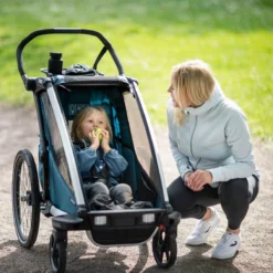 Thule Chariot Sport 2 Organizer -Outdoor Sports Equip Store CON1 D2