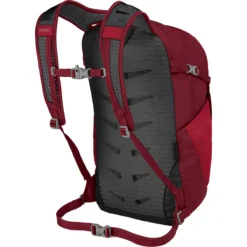 Daylite Plus 20L Backpack