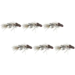 Galloup's Dungeon- 6 Pack