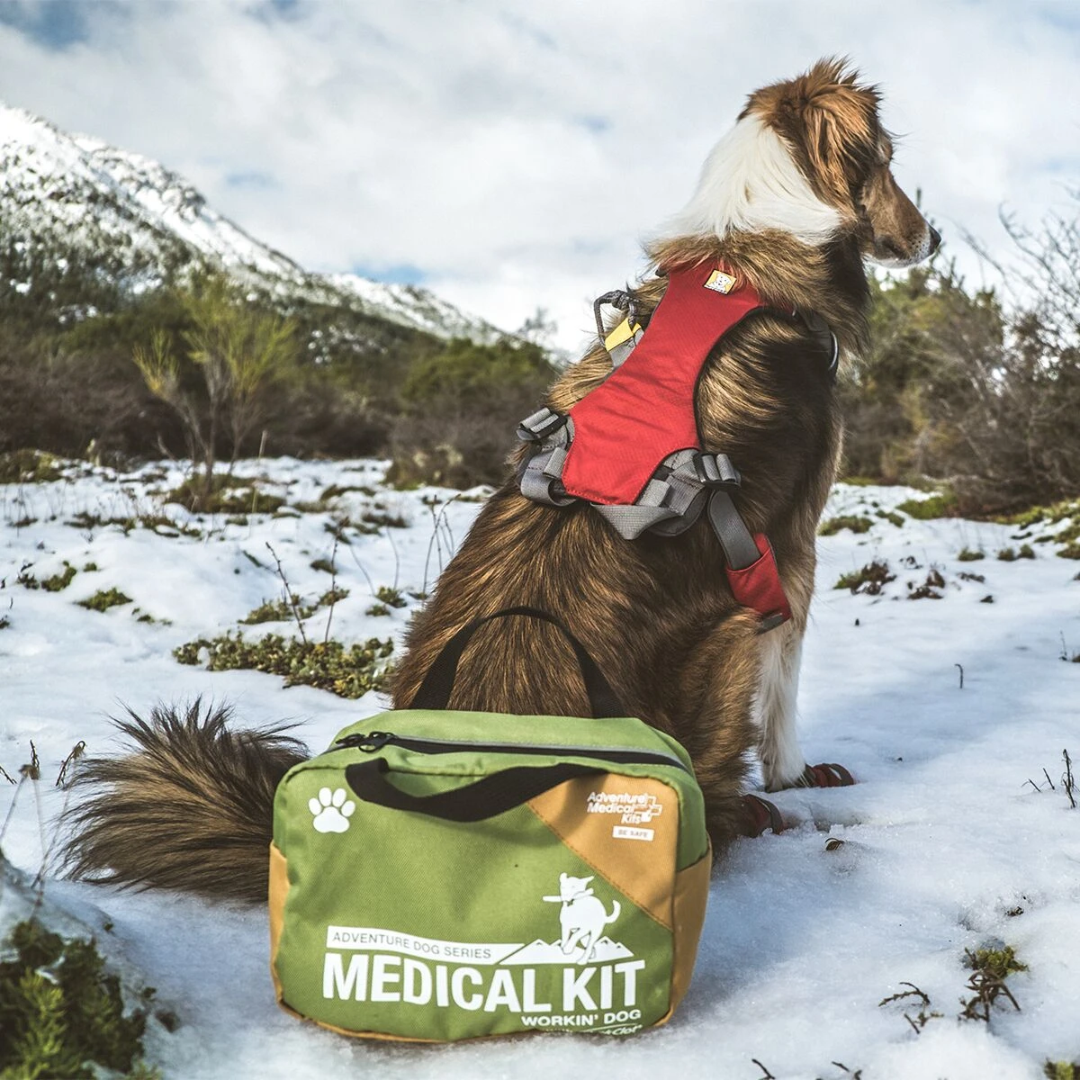 Adventure Dog Series Medical Kit Adventure Medical Kits Adventure Dog Series Medical Kit -Outdoor Sports Equip Store GRE D10 2