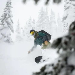 Weston Backwoods Snowboard - 2024 -Outdoor Sports Equip Store GRE D4 3