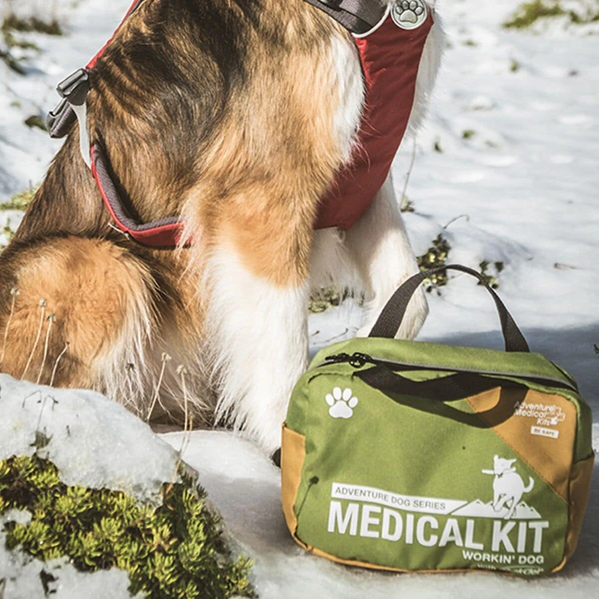 Me & My Dog First Aid Kit Adventure Medical Kits Me & My Dog First Aid Kit -Outdoor Sports Equip Store GRE D5 2