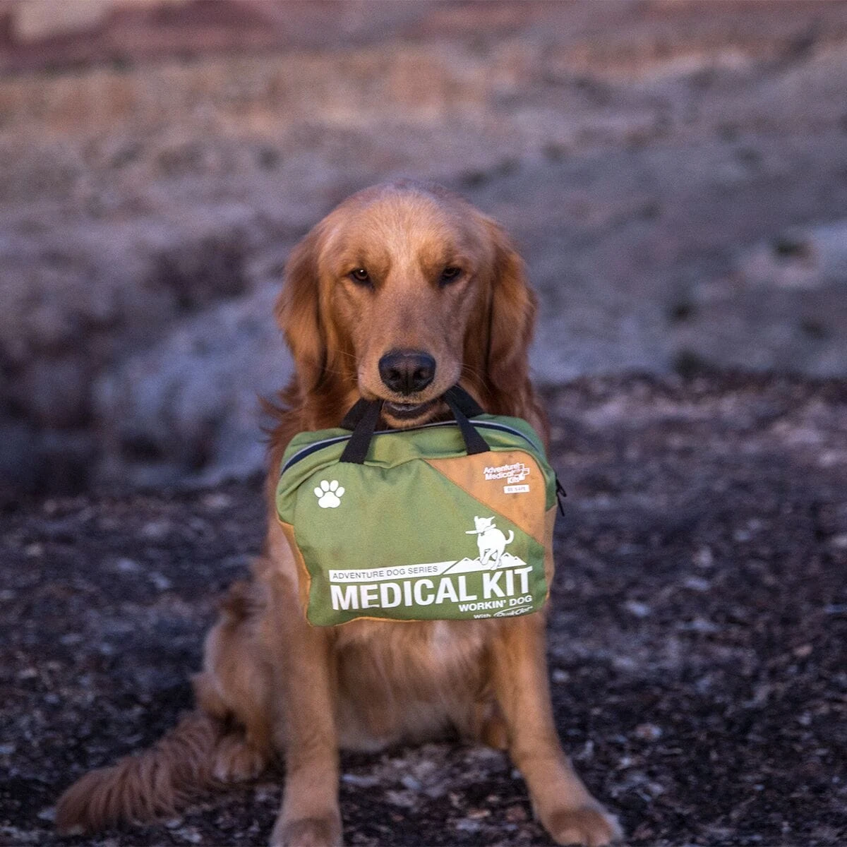 Adventure Dog Series Medical Kit Adventure Medical Kits Adventure Dog Series Medical Kit -Outdoor Sports Equip Store GRE D8 2