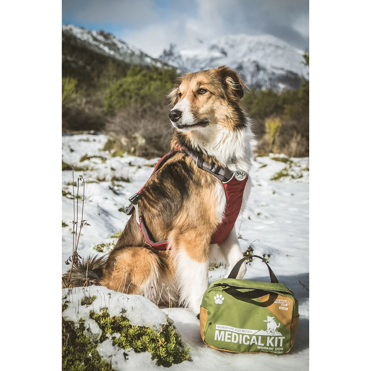 Adventure Dog Series Medical Kit Adventure Medical Kits Adventure Dog Series Medical Kit -Outdoor Sports Equip Store GRE D9 2