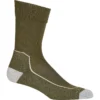 Icebreaker Hike+ Light Crew Sock - Women's
