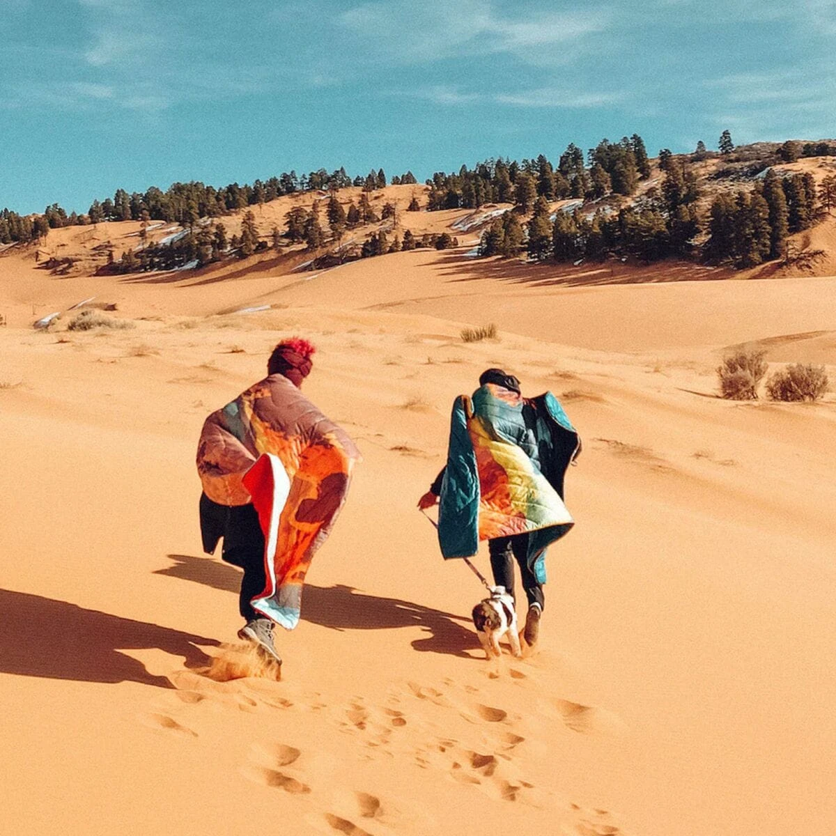 Original Puffy - Grand Canyon National Park Rumpl Original Puffy - Grand Canyon National Park -Outdoor Sports Equip Store ONECOL D4 61