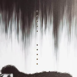 Coalition Wakeboard - 2022 -Outdoor Sports Equip Store ONECOL D7