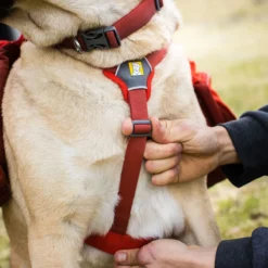 Ruffwear Palisades Dog Pack 6 Ruffwear Palisades Dog Pack -Outdoor Sports Equip Store REDSUM D10
