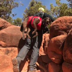 XL Airlift Emergency Dog Rescue Sling Package -Outdoor Sports Equip Store RED D16