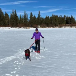 Remi Runner Leash -Outdoor Sports Equip Store RED D3 1