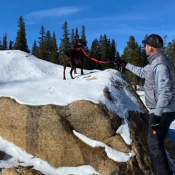 Remi Runner Leash -Outdoor Sports Equip Store RED D4 1