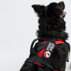 Panza Harness + Deployable Emergency Dog Rescue Sling -Outdoor Sports Equip Store RED D8