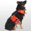 X Petco The Dog Flotation Vest