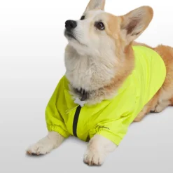 X Petco The Dog Rain Jacket -Outdoor Sports Equip Store SULSPR D1