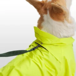 X Petco The Dog Rain Jacket -Outdoor Sports Equip Store SULSPR D2