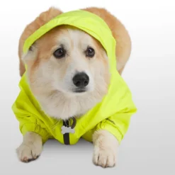 X Petco The Dog Rain Jacket